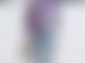 Fall Colors in Chicago – Almost!