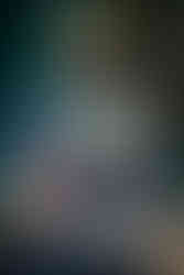 Dapper Professional showcasing custom suiting fabrics in Provenance