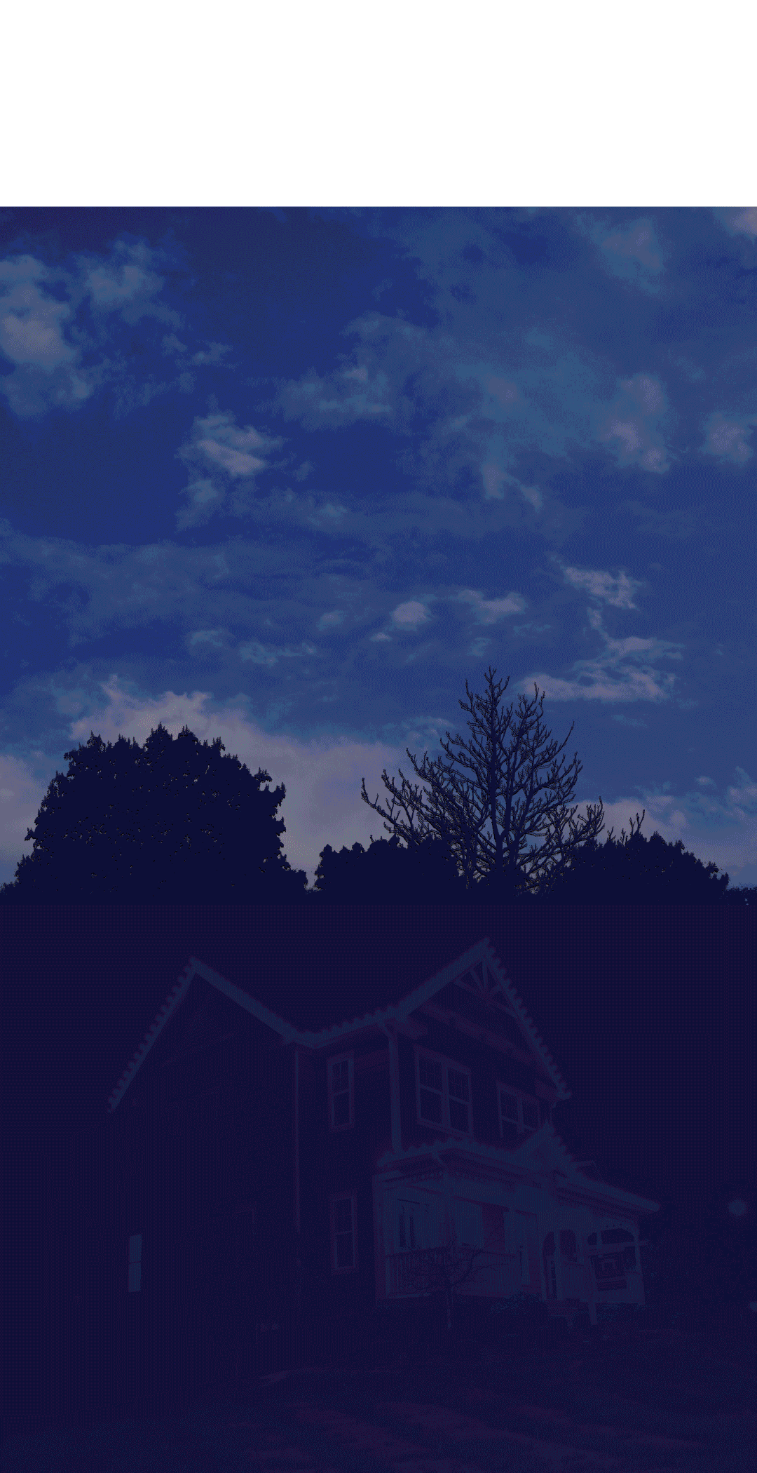 Website-Background.gif