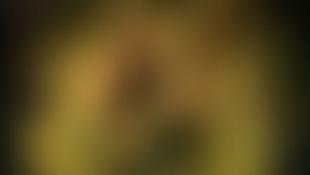 Sequência de Jungle Cruise é confirmada pela Disney!