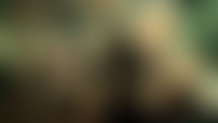 Elenco de Sucker Punch se reúne e pede por sequência!