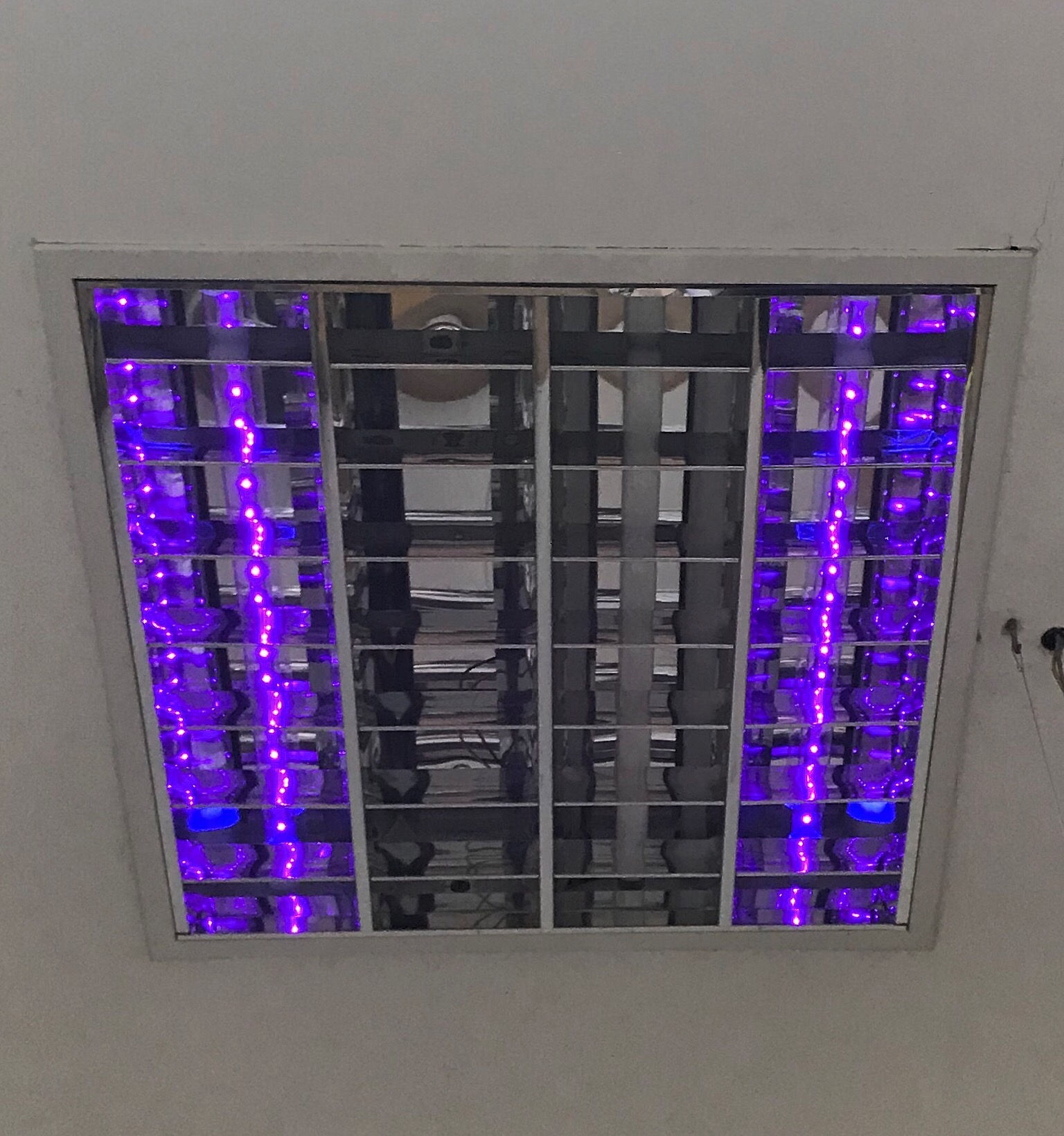 Tubo Neon T8 a LED GERMICIDA UV 220V 6W 60cm