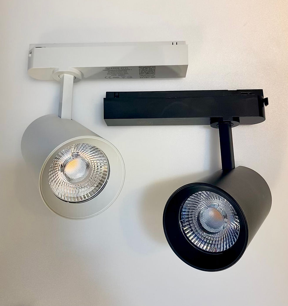 Miniatura: PROIETTORE A BINARIO LED MONOFASE 30W