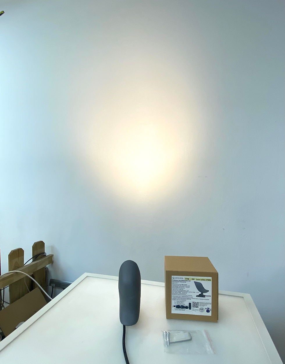 Miniatura: PROIETTORE LED PINGUINO 6W 220V DA TERRA / PARETE, DA ESTERNO IP65