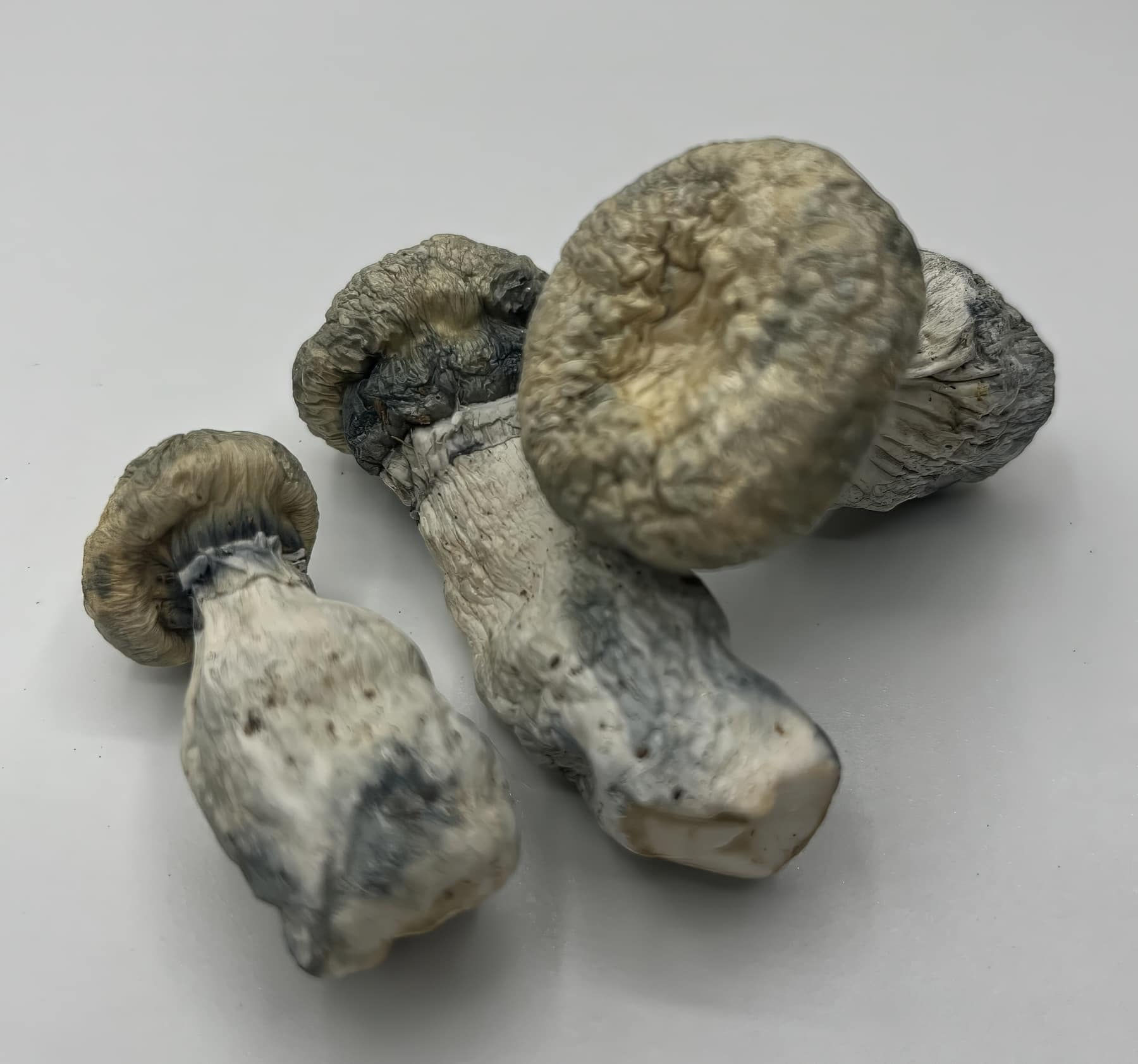 APE's 7g