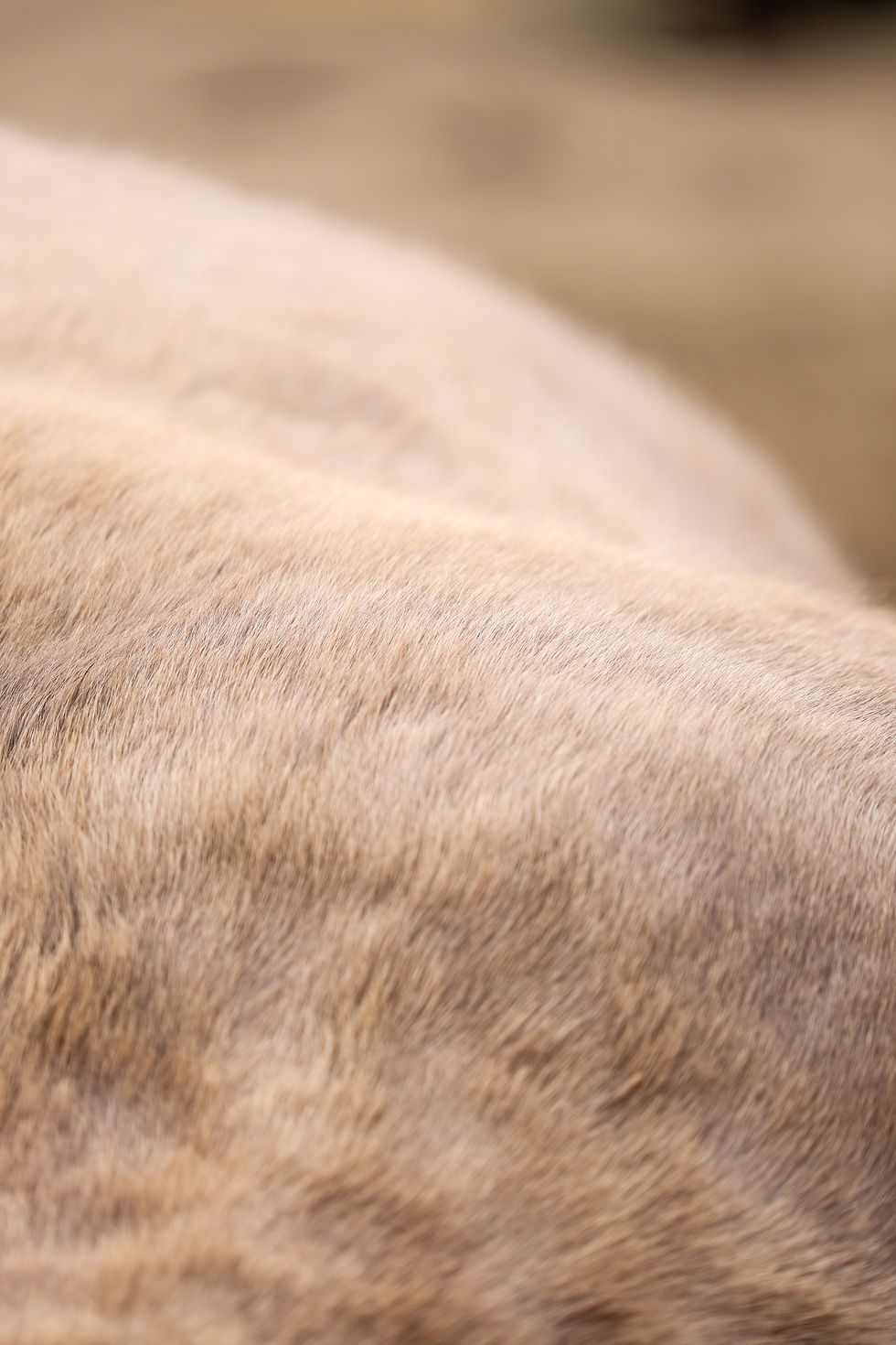 “Ik weet niet wie ik ben zonder anderen tevreden te houden.”
