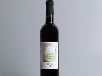 Avinoam’s Wine