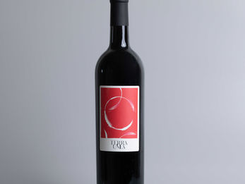Yogev's wine
