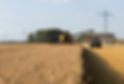 202107_agrico_cbs9235.jpg