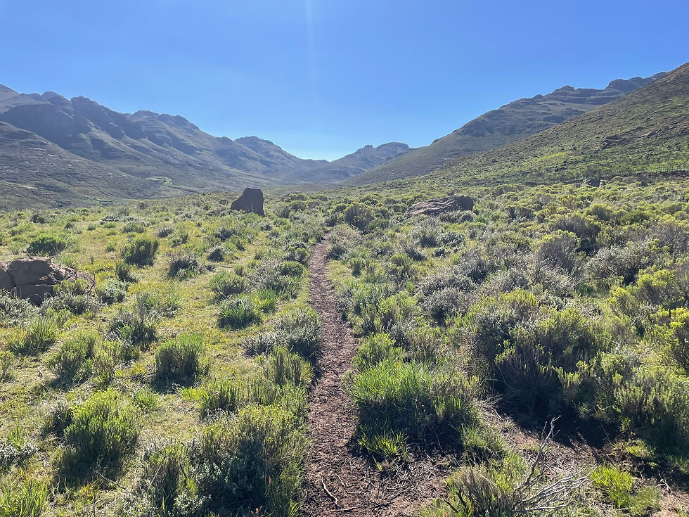 Chemin sur le haut plateau