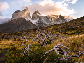 Patagonia 860