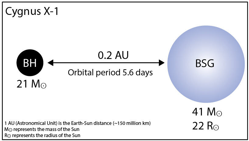 Figure 9: A schematic diagram of binary system Cygnus X-1. The Blackhole (BH) is 21 times the mass of the Sun. The Blue Supergiant (BSG) is 41 times the mass of the Sun and its radius 22 times the radius of the Sun. The two components are 0.2 astronomical units (AU) apart. For comparison Mercury is 0.39 AU from the Sun. The two components orbit each other every 5.6 days. Not to scale (Diagram: Dirk Goës and data from Miller-Jones et al. (2021)).
