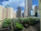 image1 (1).jpeg