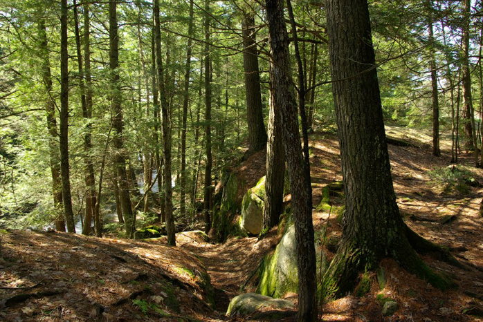 4 Waterfall Hiking Trails