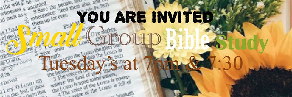 Small Group Bible Study
