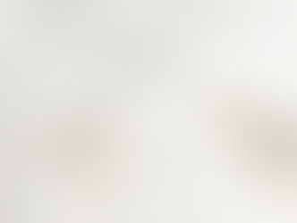 Tu Blanca Paloma (Your White Dove – music)