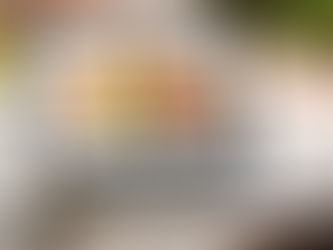 Attention please: not all cookies are edible