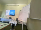 IMG_4919.JPEG