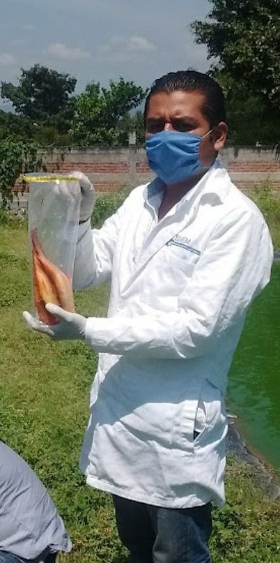 Captura de Pantalla 2022-06-06 a la(s) 15.40.30.png