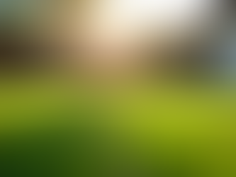 Trusted Artificial Turf Installation in Texas: Your Go-To Guide