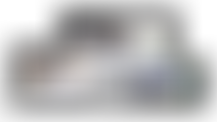 Desarrollo web | FFL