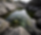 photorealistic_close-up_a_tidal_pool_in_light_gray_and_dark_gray_rock_formations_clear_green-tinged_gav0zcefjmtdyjnmv250_0 2