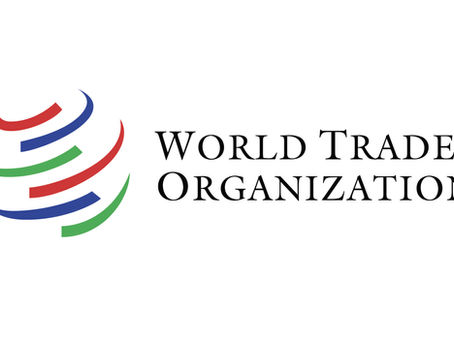 Is the WTO an Angel or a Demon? It Depends on Your Nation's Development
