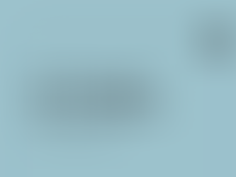 Copy of Who is this presentation for?