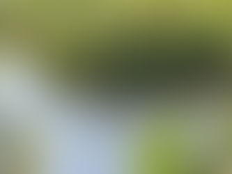 OPINION : Écolo, oui mais...