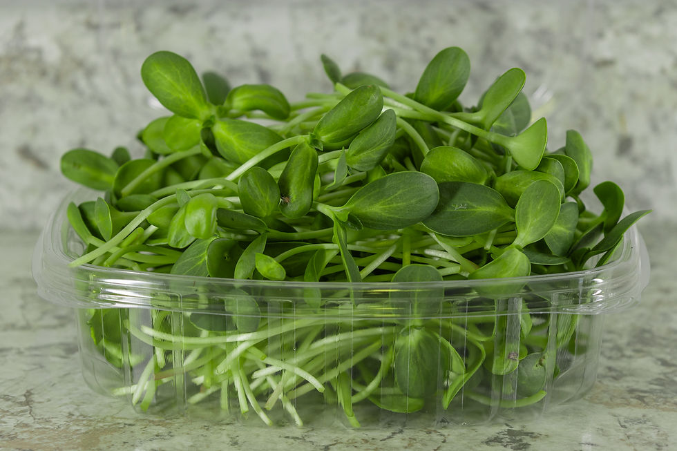 Thumbnail: Holiday Special: Order of 4 Boxes of Microgreens One time for $20