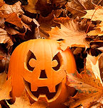 Pumpkin Among Leaves