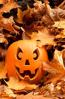 Spooky Creations