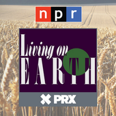 Living on earth.png