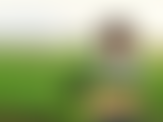 Frances Moore Lappé: Why I Wrote “Diet for a Small Planet”