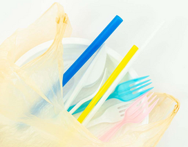 The Problem with Plastics