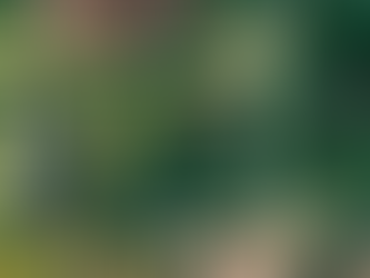 Hunger Is Over, If We Want It