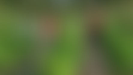 Picking up the pieces from a failed land grab project in Tanzania