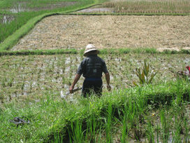 Farming First: A Recipe to Feed a Crowded World