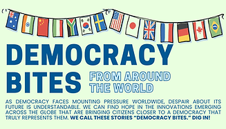 Democracy Bites from Around the World 1.png