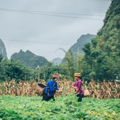 Realizing Our Power: Farming and Eating for a Small Planet