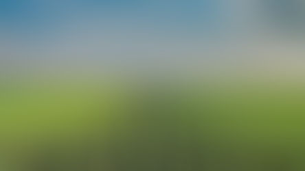 Rome Summit Takes Bold Step Toward Agroecology