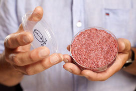 Food Without Fields?