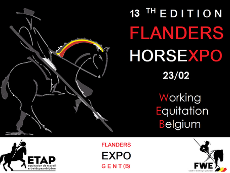 WORKING EQUITATION @ FLANDERS HORSE EXPO