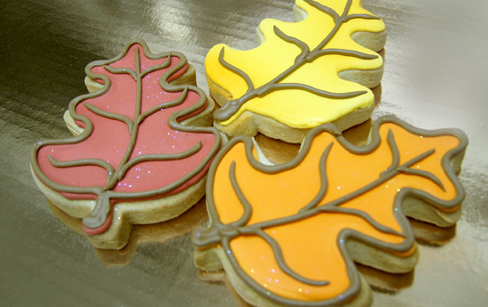 Touche Touchet Bakery Hand Decorated Cookies