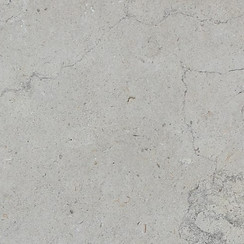 French-Grey-Acid-Wash.jpg
