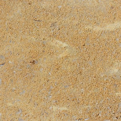 French-Gold-Acid-Wash.jpg