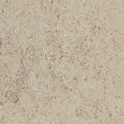 French-Wood-Vein-Acid-Wash.jpg