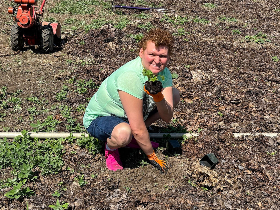 7879eb21-9e36-4eae-a878-dd9a7d283888