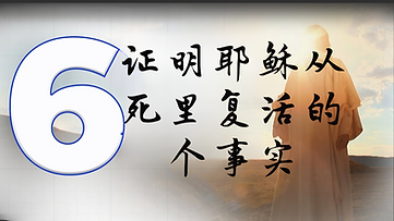 White Modern Flower Filed Daily Vlog YouTube Thumbnail.png