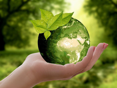 WHAT IS SUSTAINABILITY?